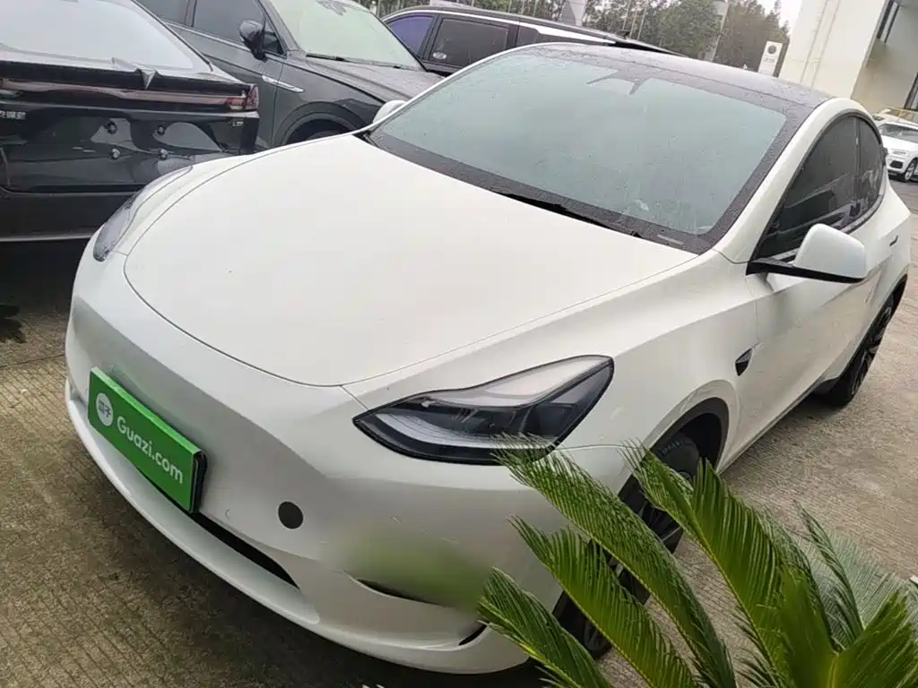 Tesla Model Y — миниатюра 2