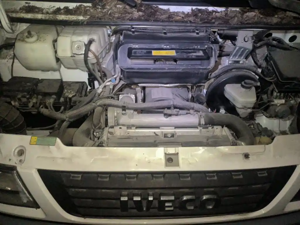 IVECO Daily — миниатюра 11
