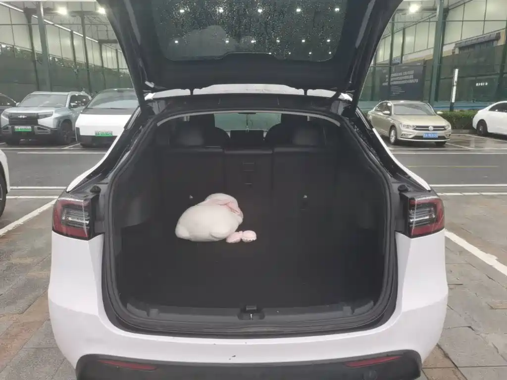 Tesla Model Y — миниатюра 19