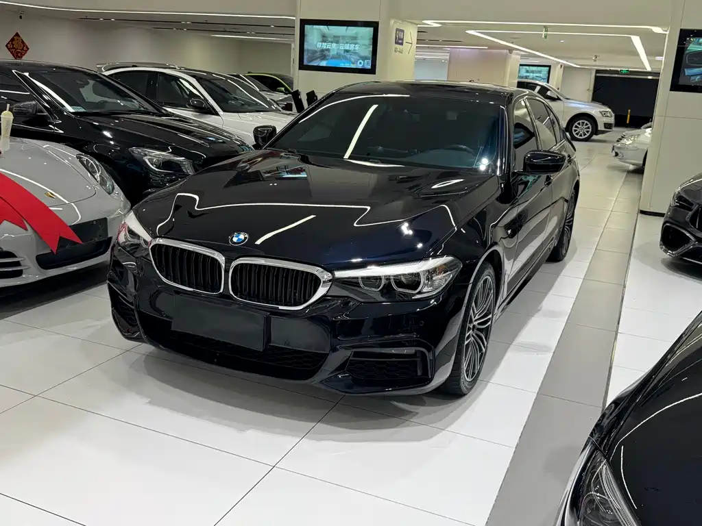 BMW 5 Series 2019 530Li Leading Type M Sport Package