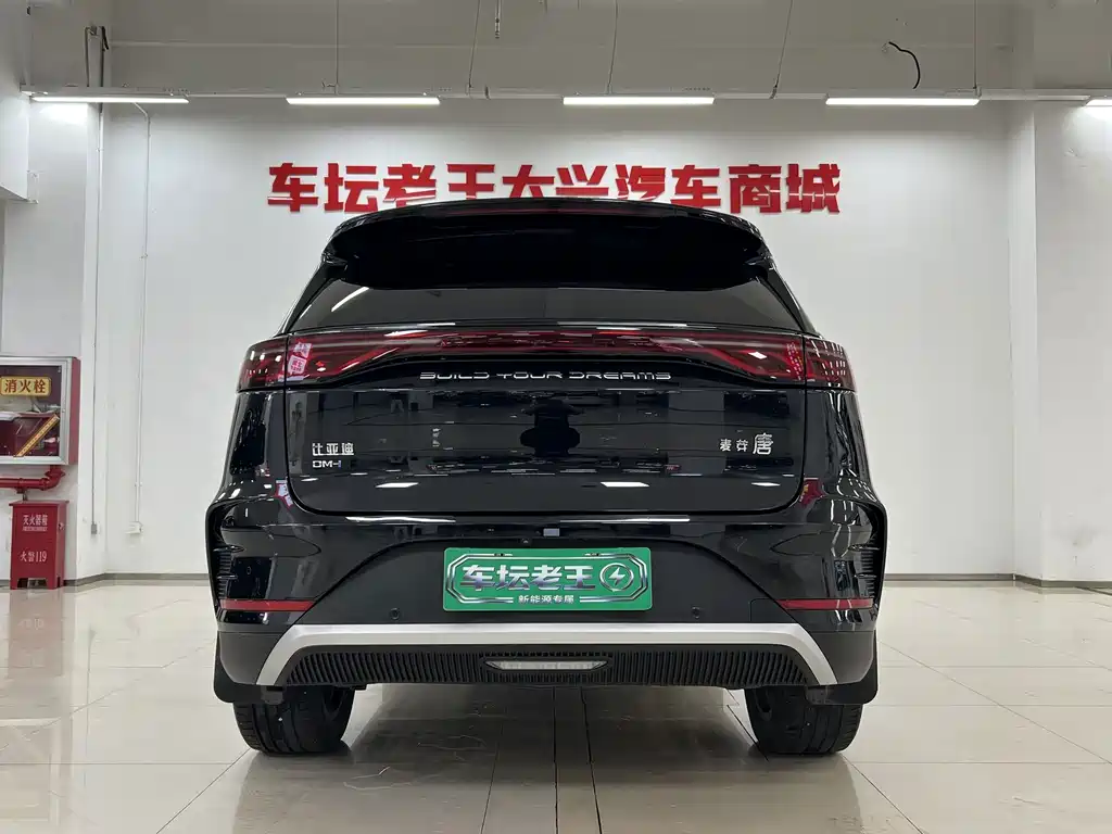 BYD Tang New Energy — миниатюра 14