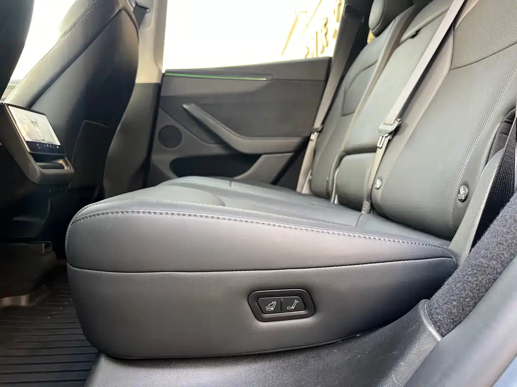 Tesla Model Y — миниатюра 15