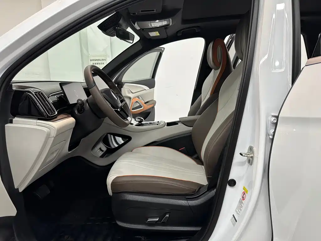 BYD SONGJIANG NEW ENERGY