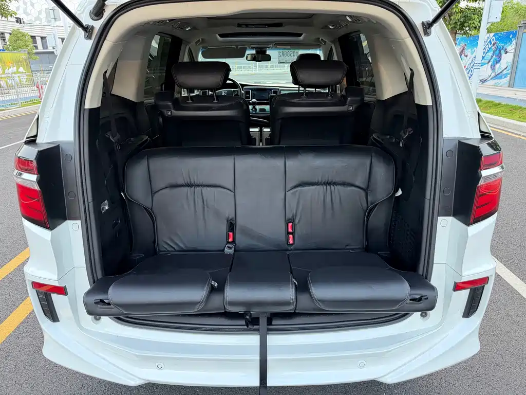Honda Elysion — миниатюра 15