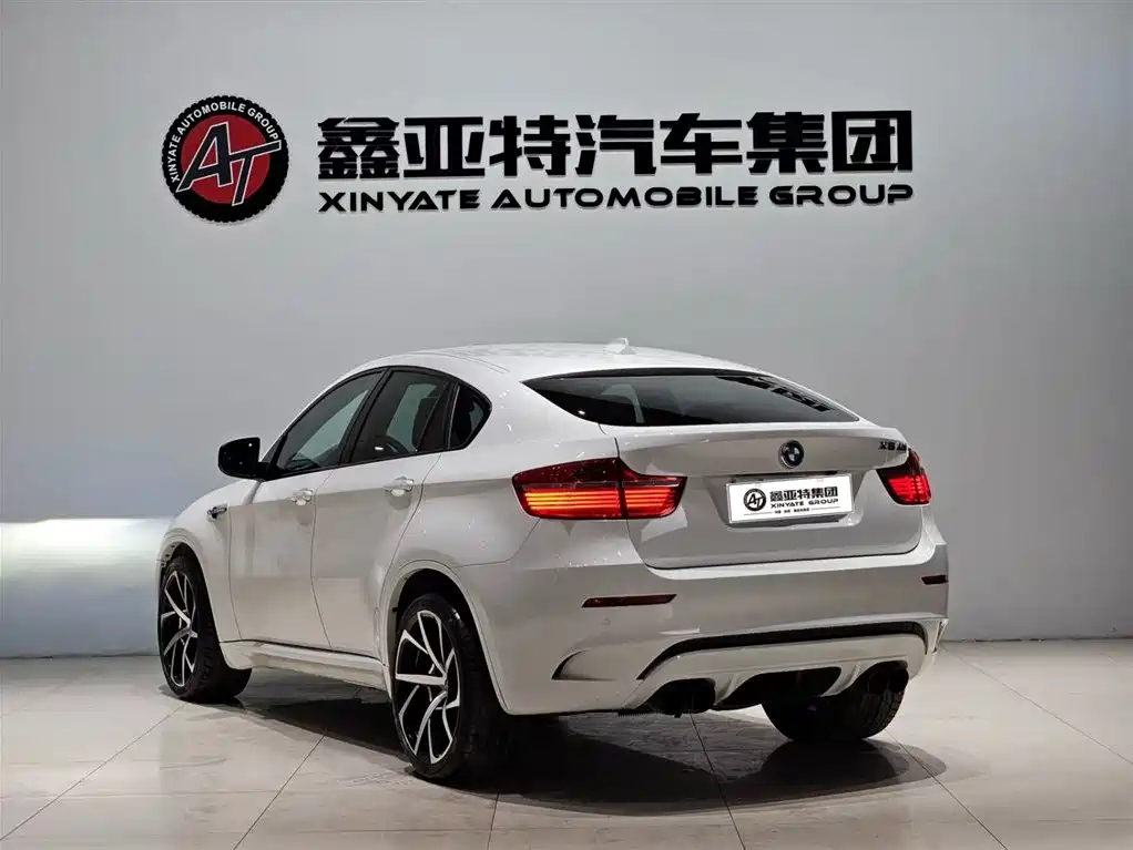 BMW X6 M 2010 X6 M
