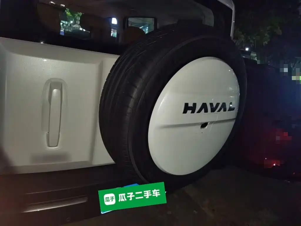 Haval Menglong Petrol 2.0T 4WD Pro, фото 3