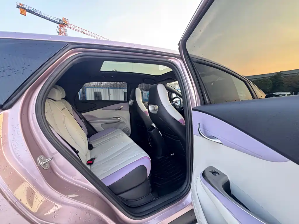 BYD Dolphin — миниатюра 15