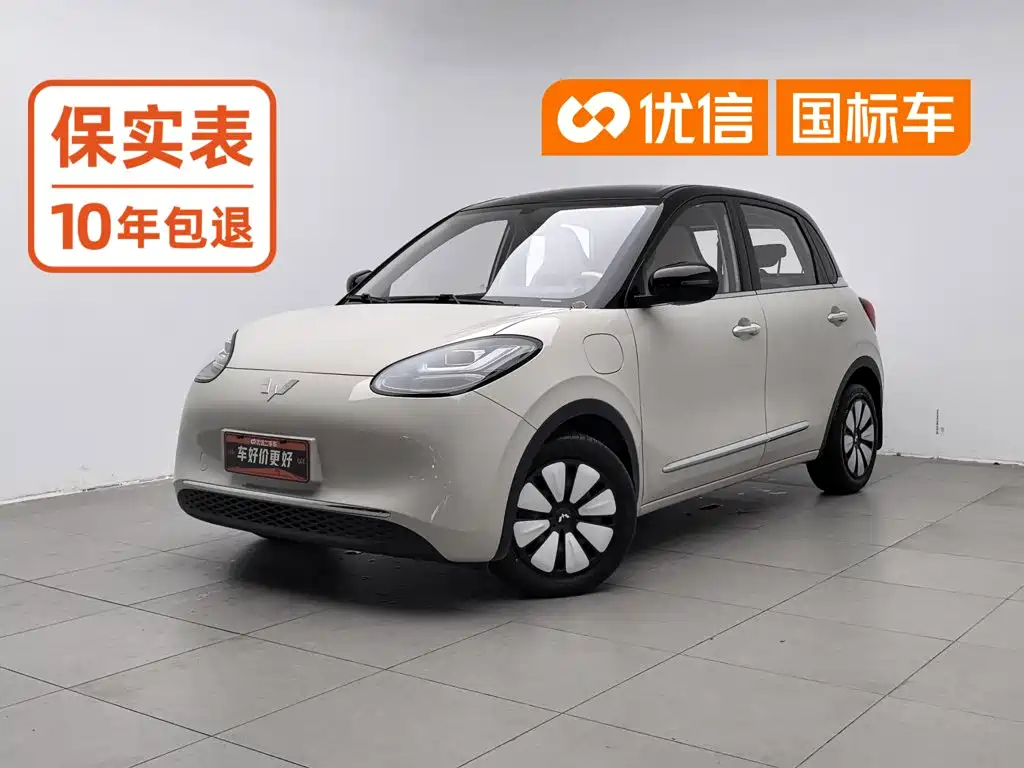 Wuling Bingo
