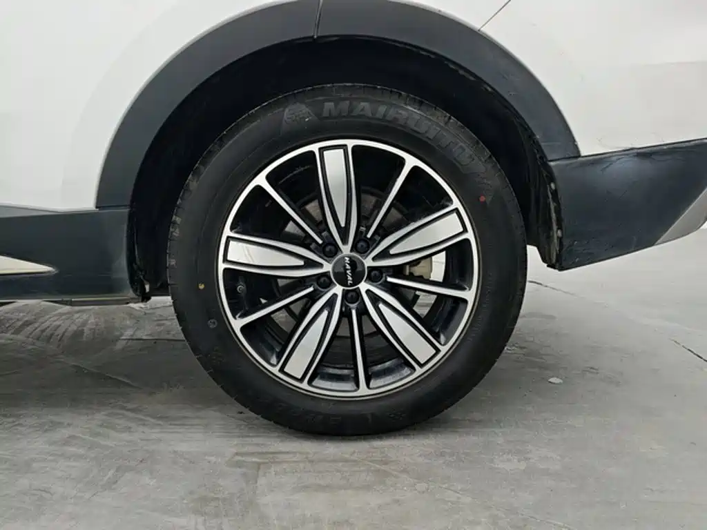 Haval H6 2023 — фото 13
