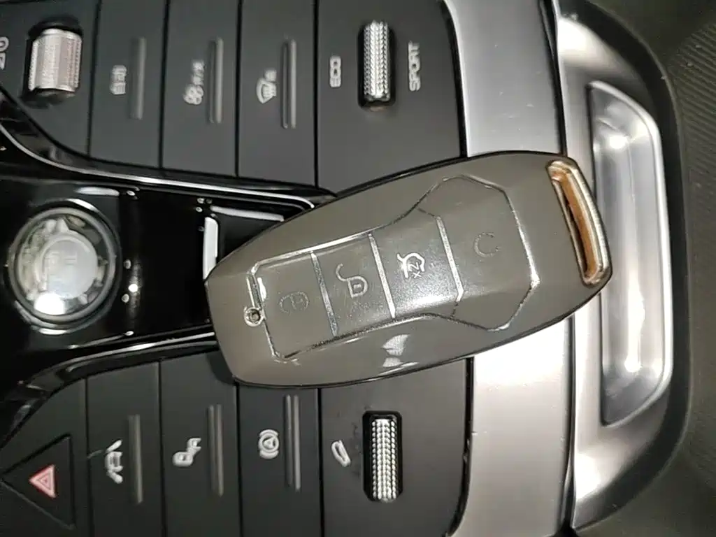 BYD PLUS — миниатюра 9