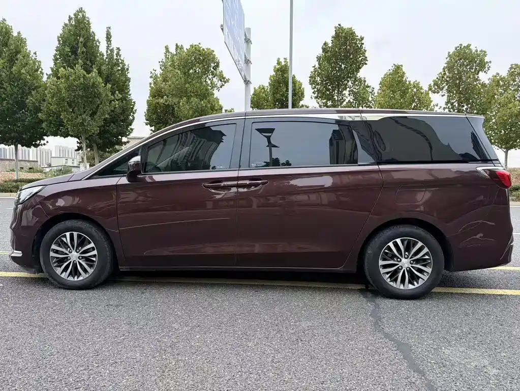 Buick GL8 — миниатюра 9