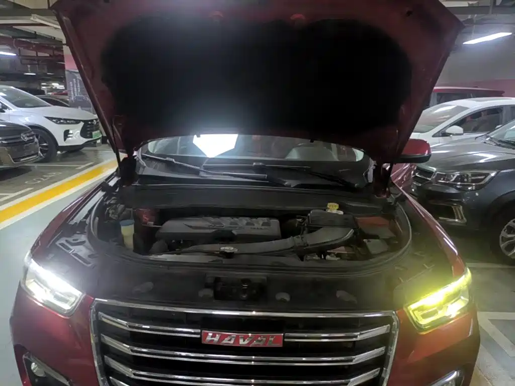 Haval H4 — миниатюра 16