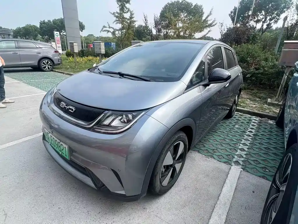 BYD Dolphin