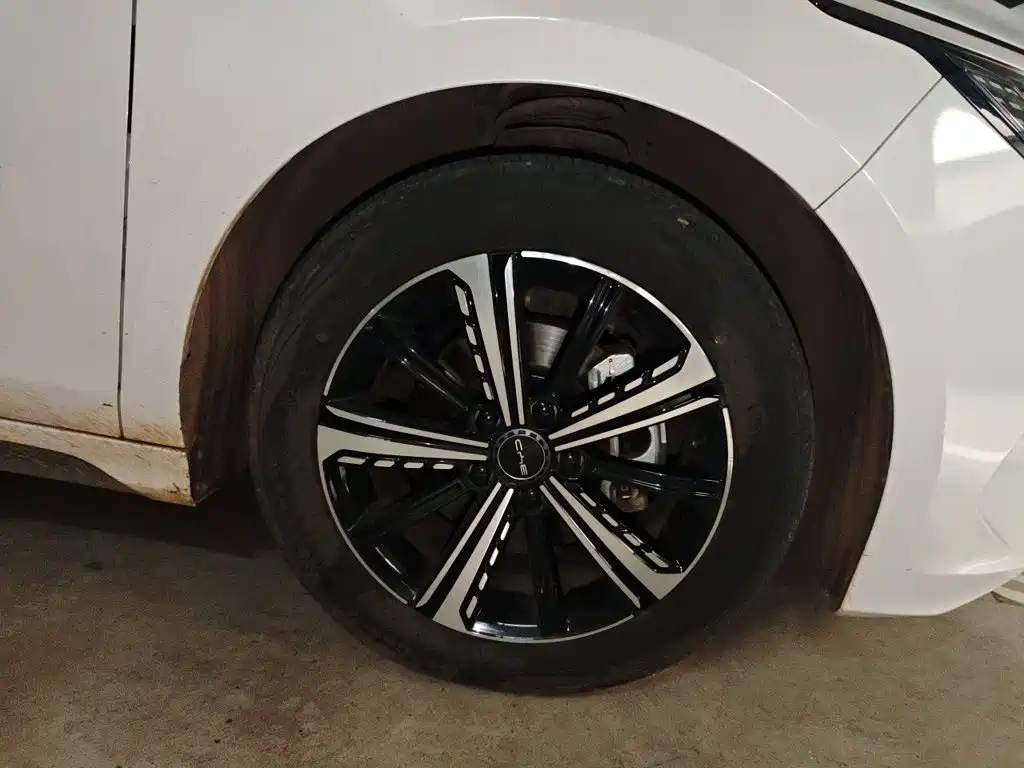 BYD Destroyer 05 — миниатюра 8