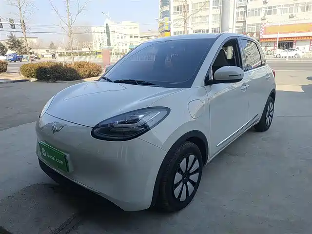 WULING AUTOMOBILE WULING BINGGUO 2024