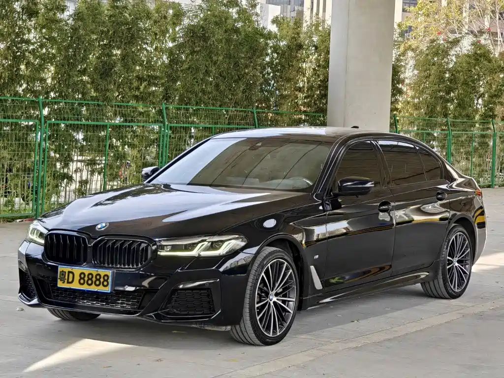 BMW 5 SERIES