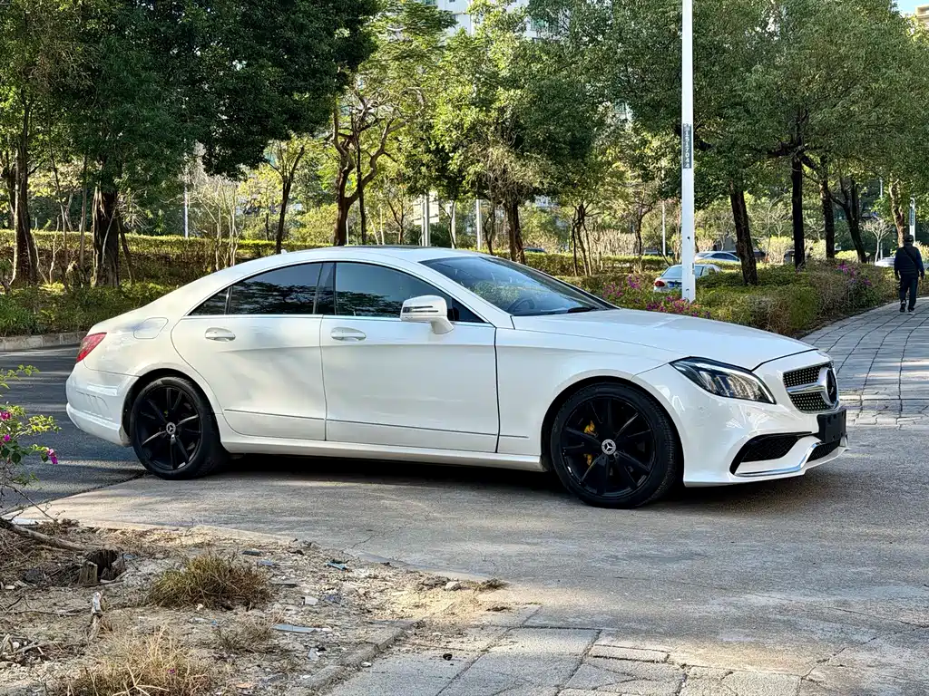Mercedes-Benz CLS 2012 CLS 300 CGI