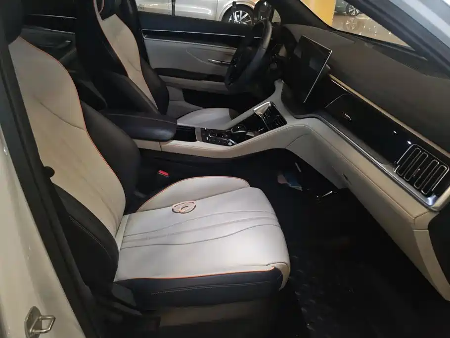 BYD PLUS New Energy — миниатюра 8