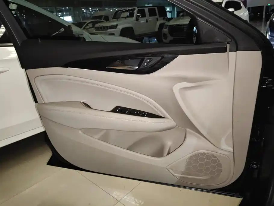 Buick Regal — миниатюра 7