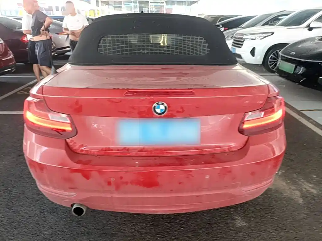 BMW 2 Series (Import) — миниатюра 6