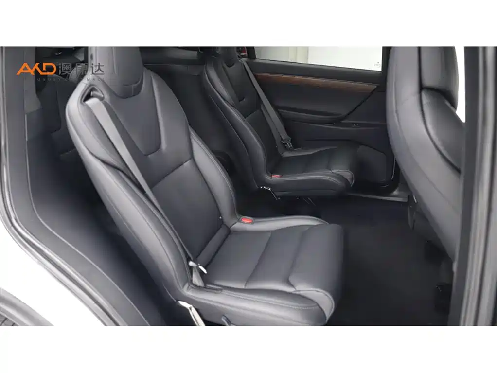 Tesla Model X 2017 Model X 100D