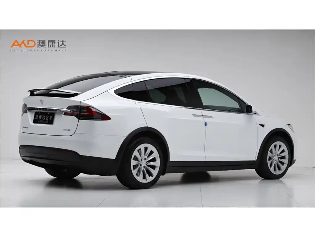 Tesla Model X 2017 Model X 100D
