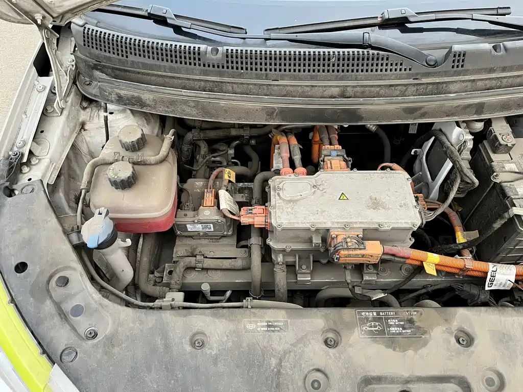 GEELY GEOMETRY EX3 KUNG FU COW