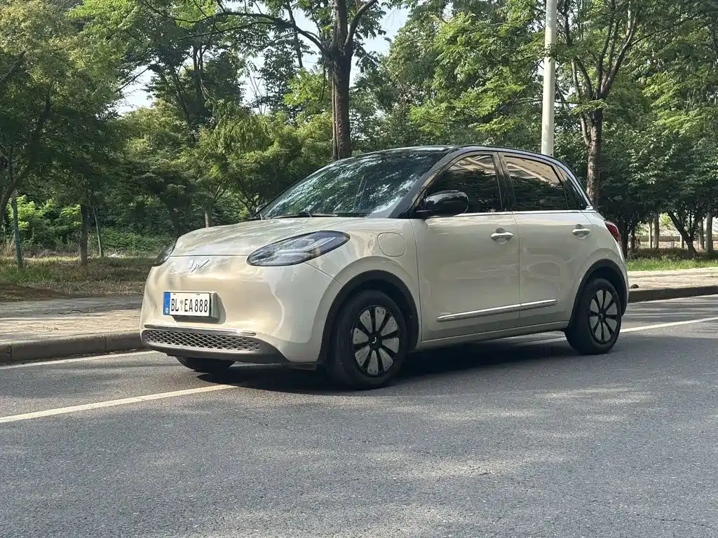 Wuling Bingo