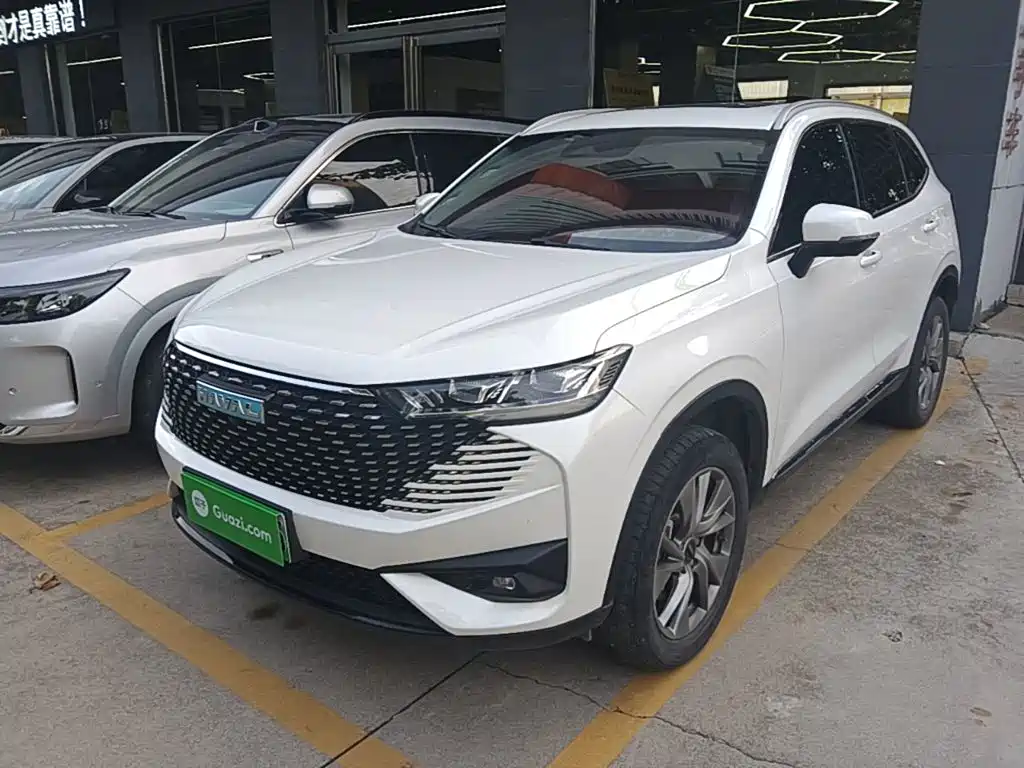Haval H6 New Energy