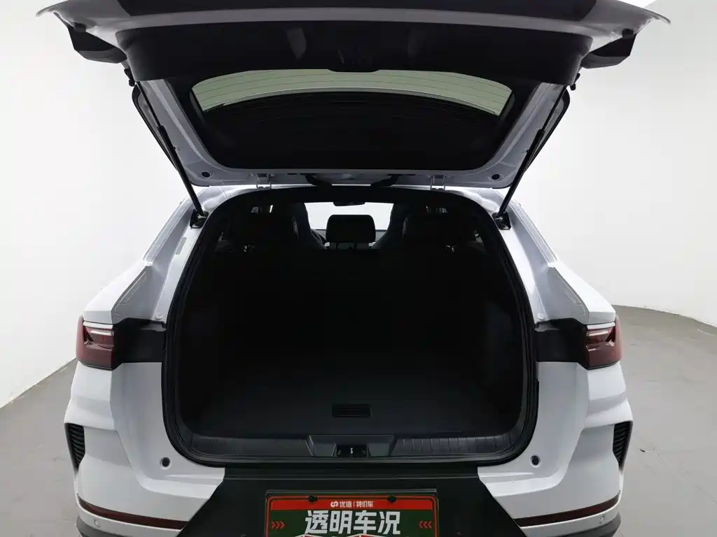 BYD PLUS — миниатюра 16