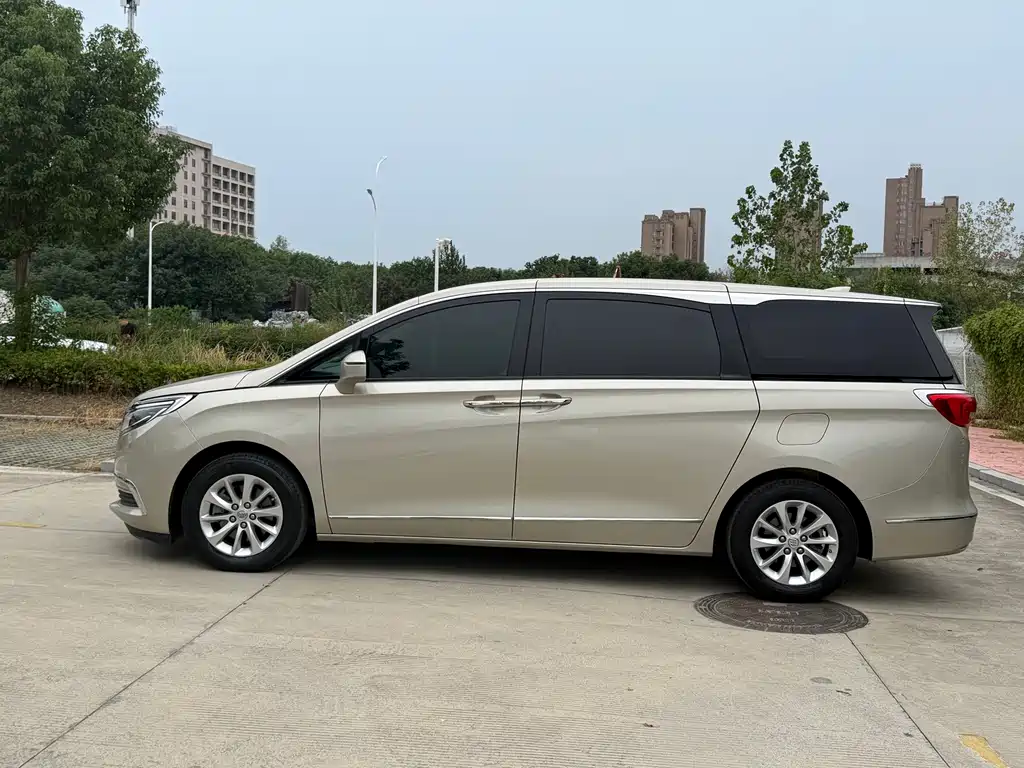 Buick GL8 — миниатюра 4