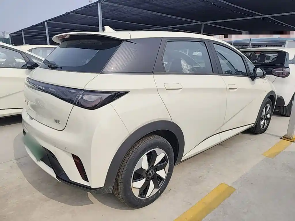 BYD Dolphin 2025 420km Freedom