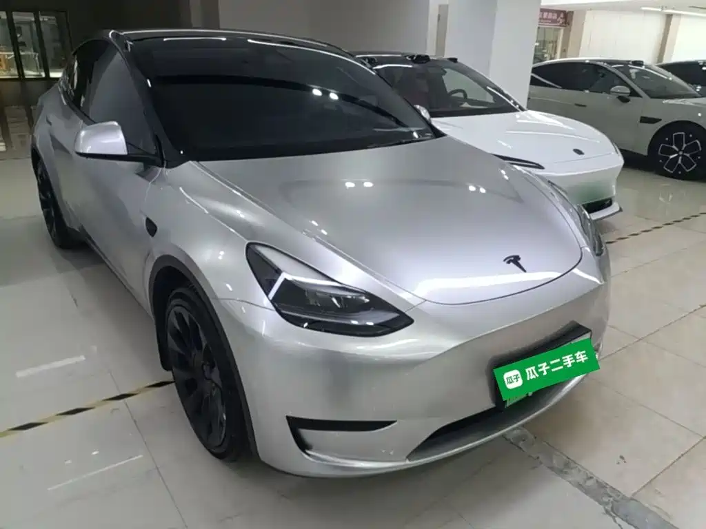 Tesla Model Y — миниатюра 4
