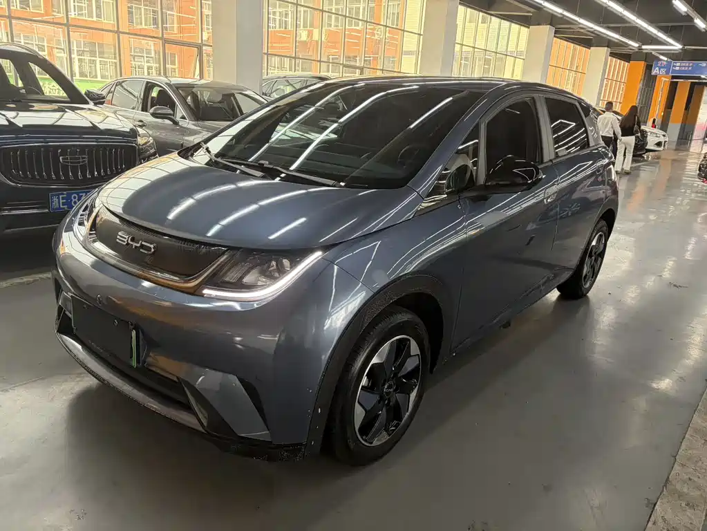 Byd Dolphin 2025