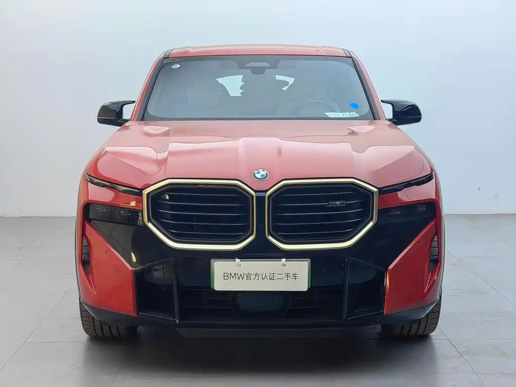 BMW XM — миниатюра 2