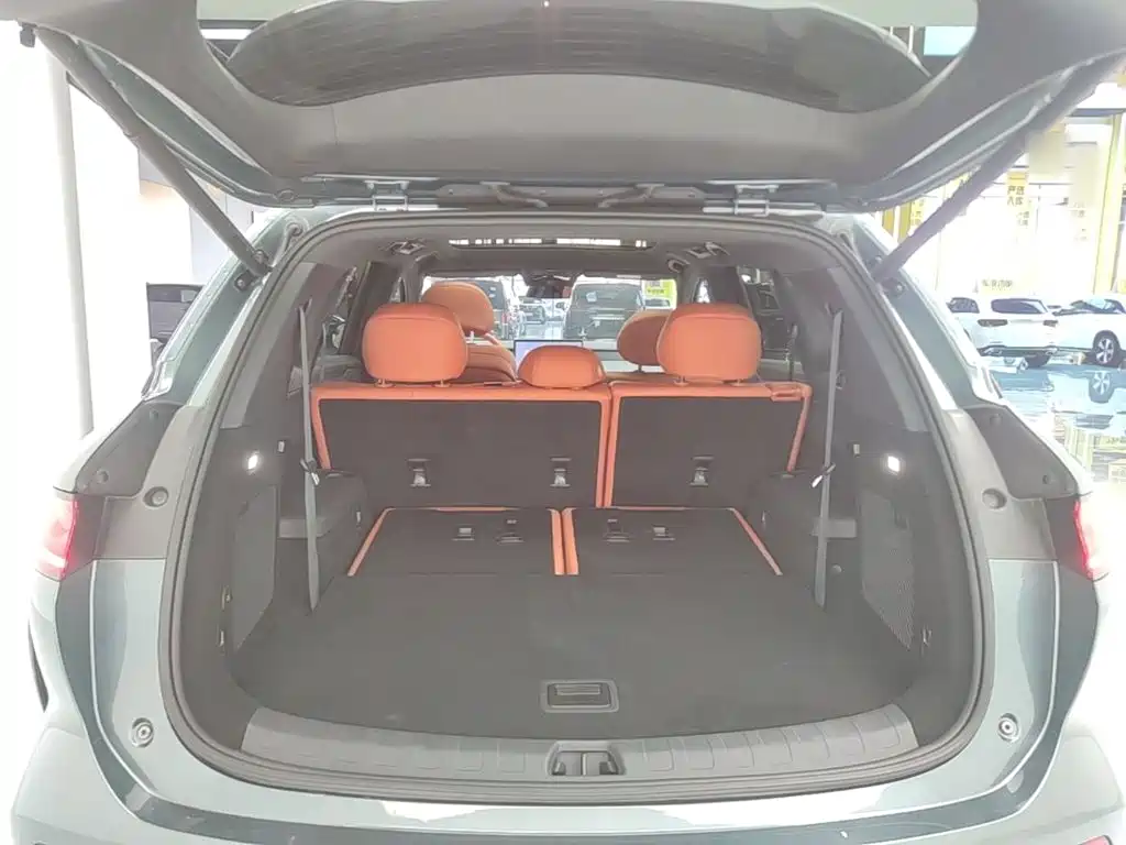 BYD Дон Л. — миниатюра 19