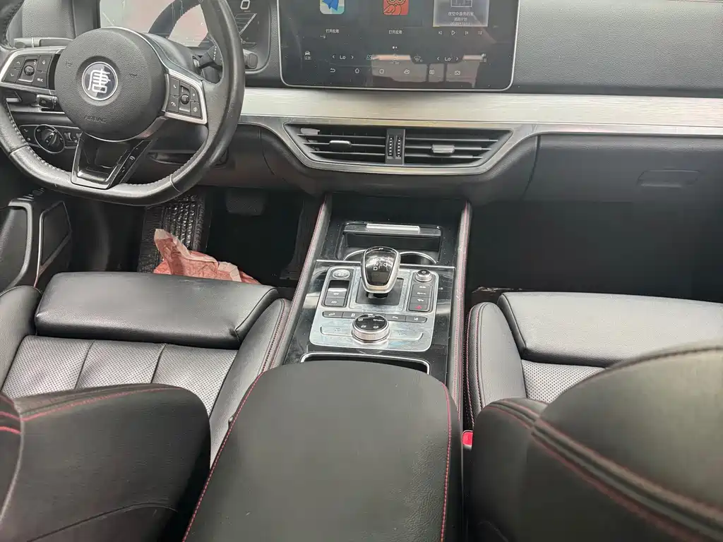 BYD Tang New Energy — миниатюра 12