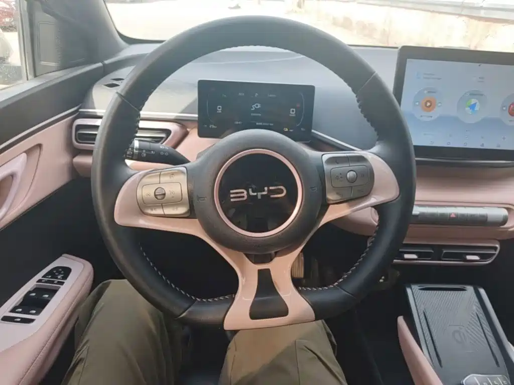 BYD Seagull — миниатюра 11