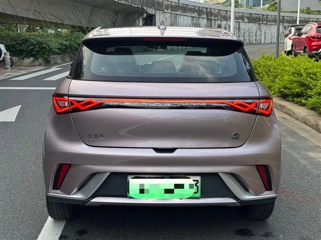 BYD Dolphin 2021 405km Fashion