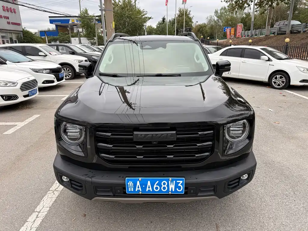 Haval 长城大狗 — миниатюра 2
