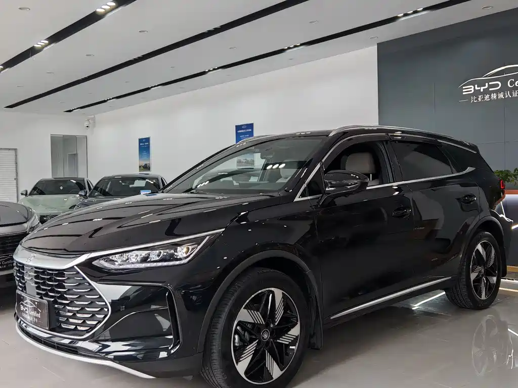 Byd Tang New Energy 2024