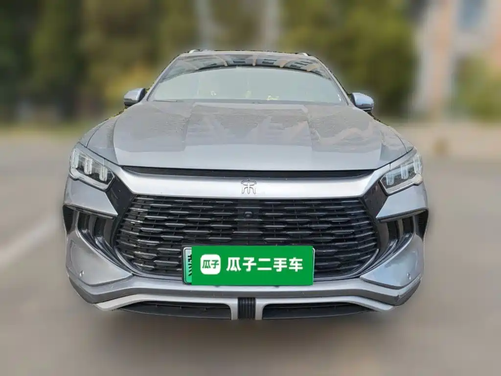 BYD Pro New Energy — миниатюра 2