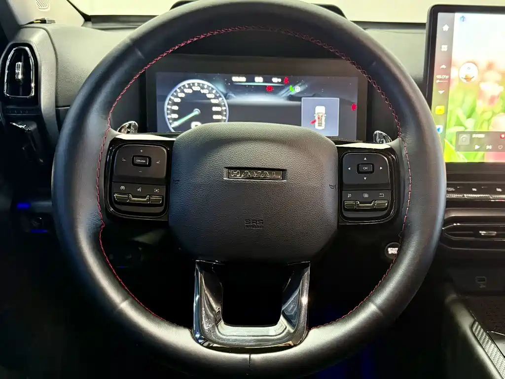 Haval Big Dog PLUS — миниатюра 11