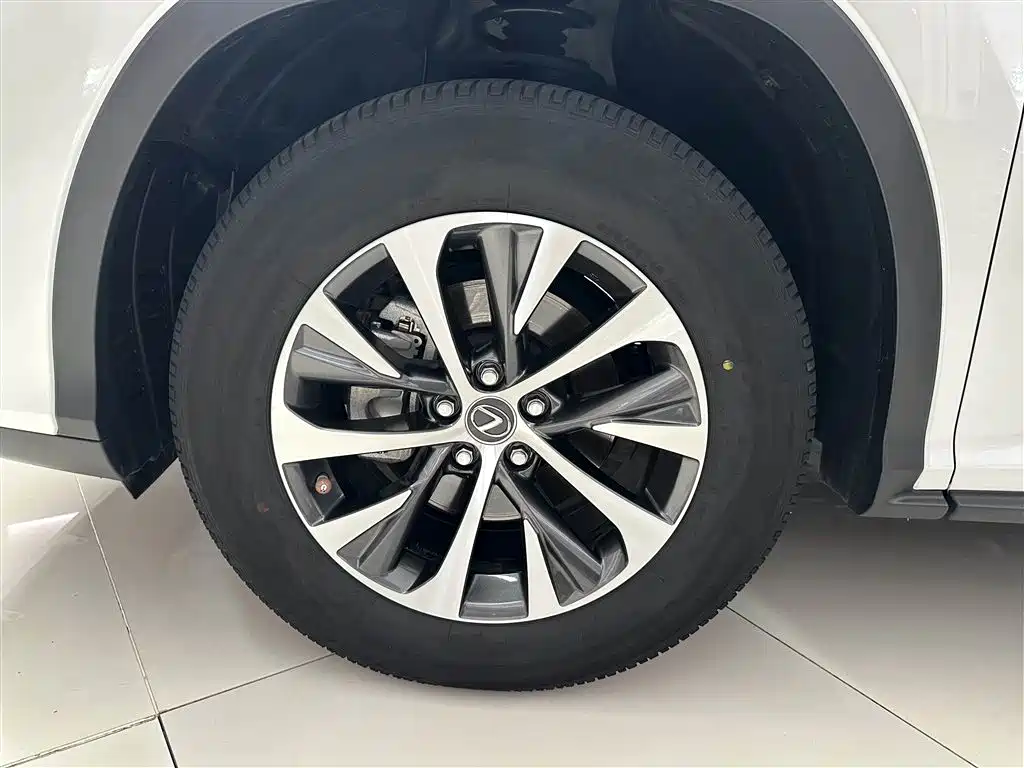Lexus RX - фото 5