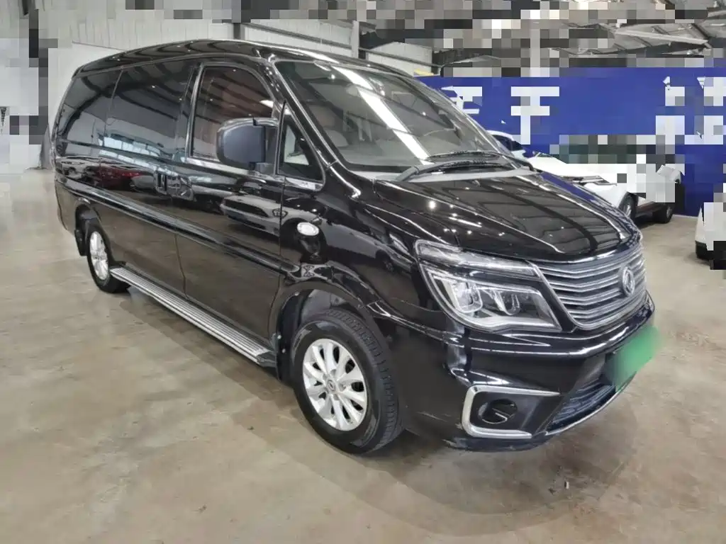 Fengxing Lingzhi — миниатюра 4