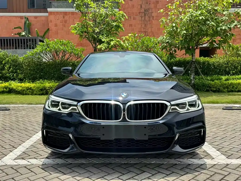 BMW 5 Series 5 2020 530Li Premium M Sport