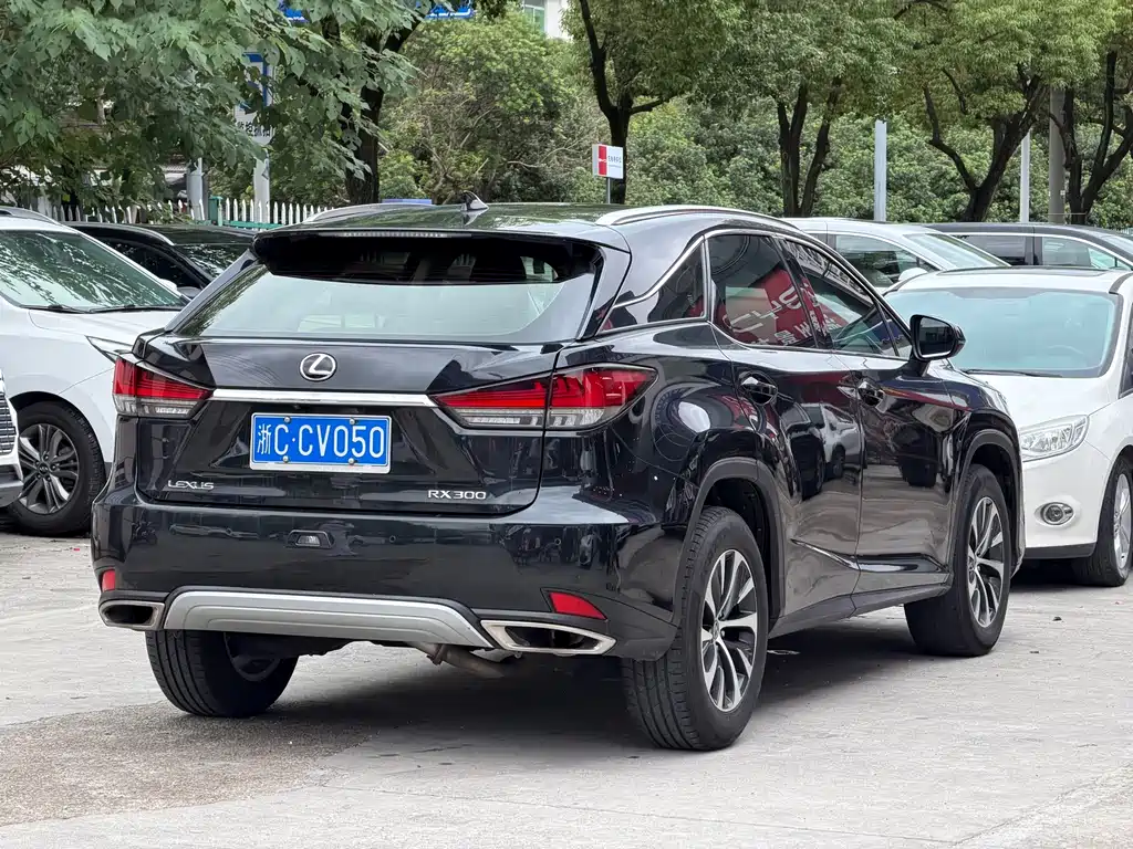Lexus RX — миниатюра 10