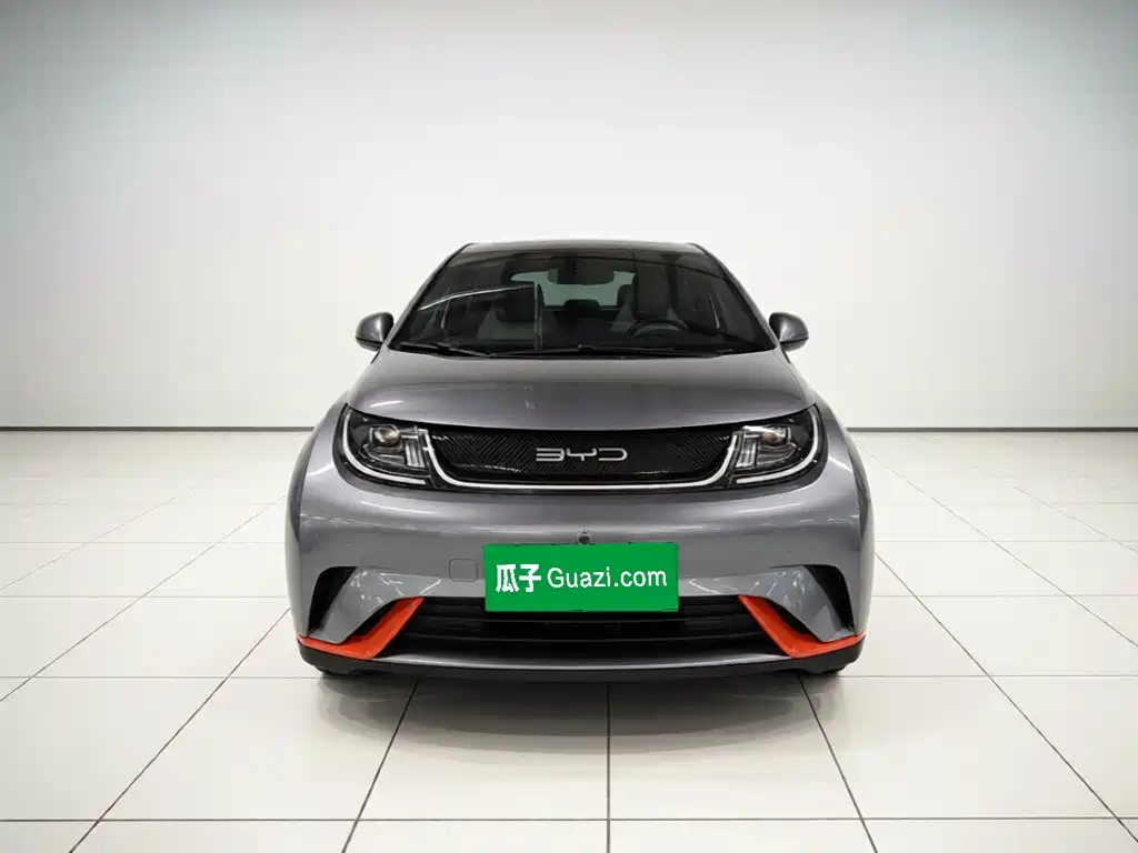 BYD Dolphin — миниатюра 2