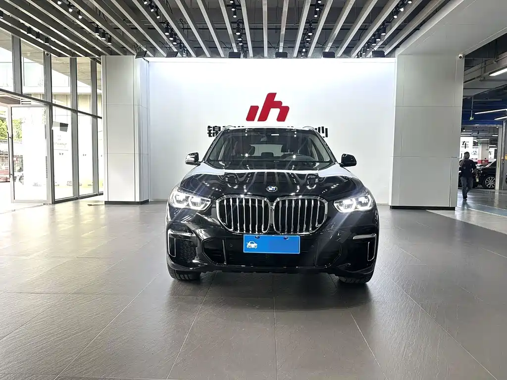 BMW X5 2022 xDrive 30Li Premium M Sport