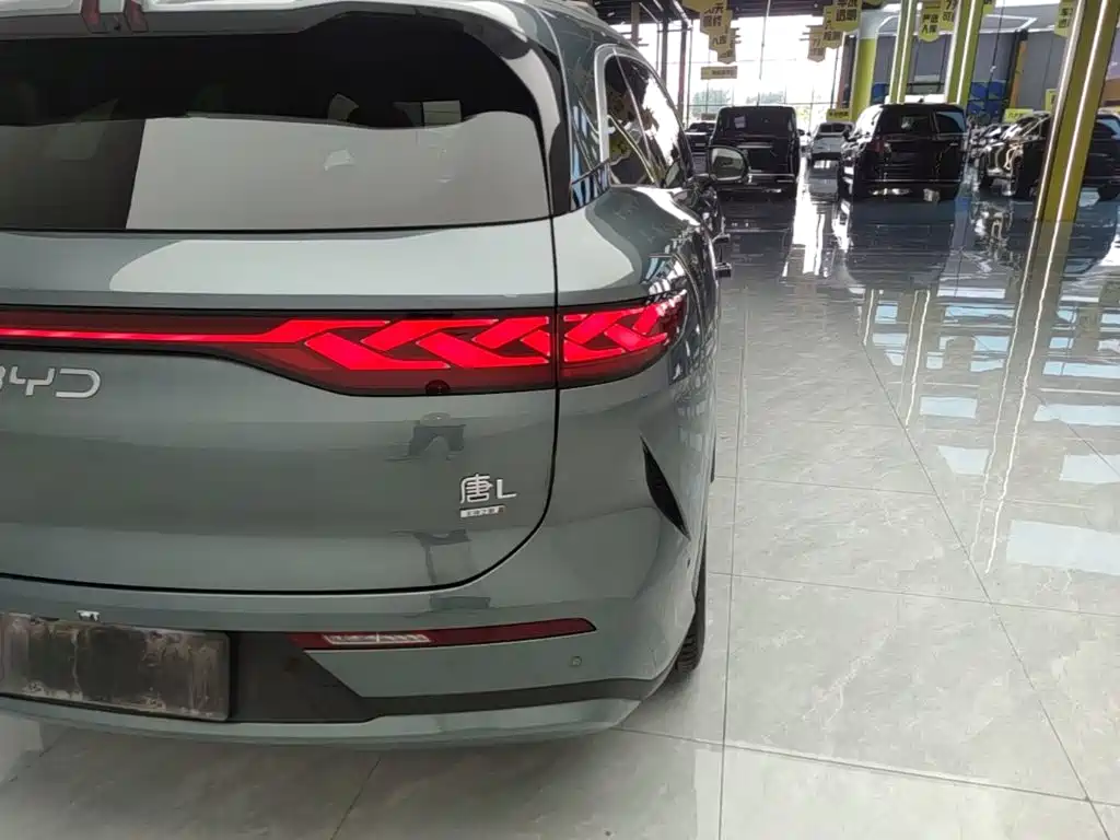 BYD Дон Л. — миниатюра 8